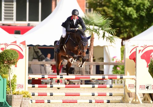 Sieger in der Qualifikation und mit der Note 8,6 Vierter im Finale des Landeschampionats der vier Jahre alten Springpferde: Diacont von Diamant de Semilly mit Philipp Schulze. (Foto: Janne Bugtrup)